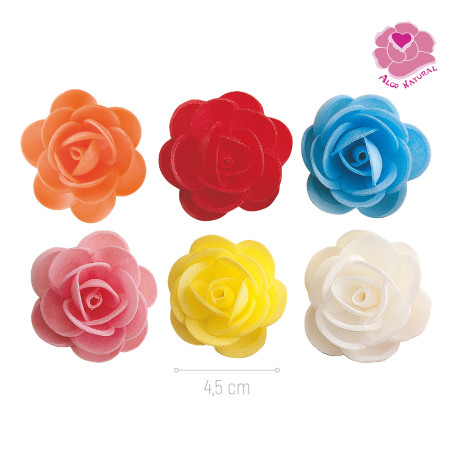 Rosa hóstia sortida sem folha 4,5 cm