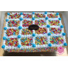 Mini Drageias de Chocolate Leite – Freeze 70g