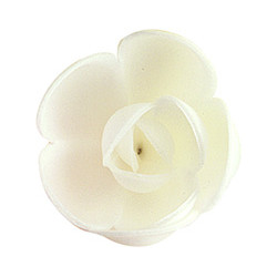Rosa Branca hóstia sem folha 4cm