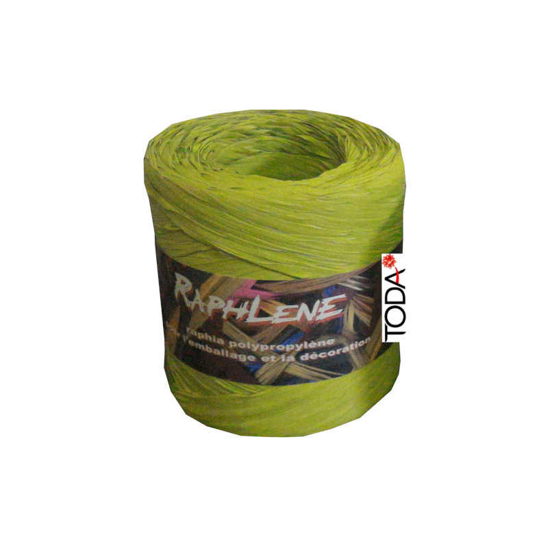 Raphlene Mate Unicolor 9669/304