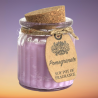 Pote de Vela de Cera de Soja - Romã