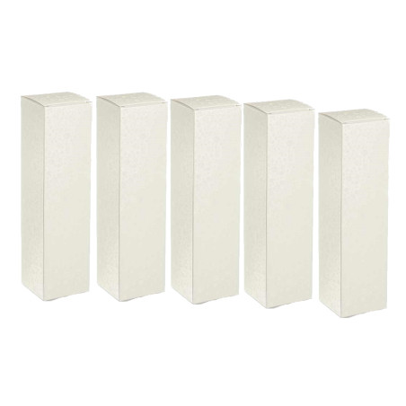 Caixa 1 Garrafa 90x90x340mm