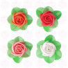 Rosas com folhas de hóstia em cores sortidas 4 cm - Caixa