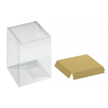 Caixa Automática PVC Transp. 100x100x160mm